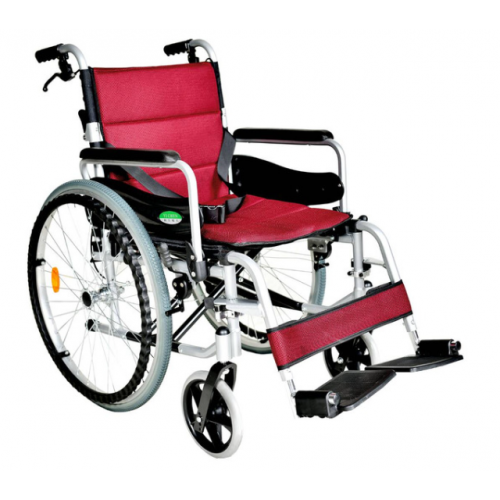 頤辰 輪椅B款附加A功能 YC-925.2大輪
